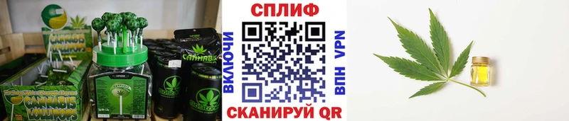 Cannafood марихуана Зубцов