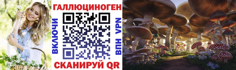 Галлюциногенные грибы Psilocybine cubensis  Зубцов 