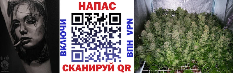 Марихуана Bruce Banner  Зубцов 